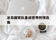 冰岛国家队备战世界杯预选赛