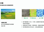 火爆对决！亚洲足球精彩一幕大放异彩