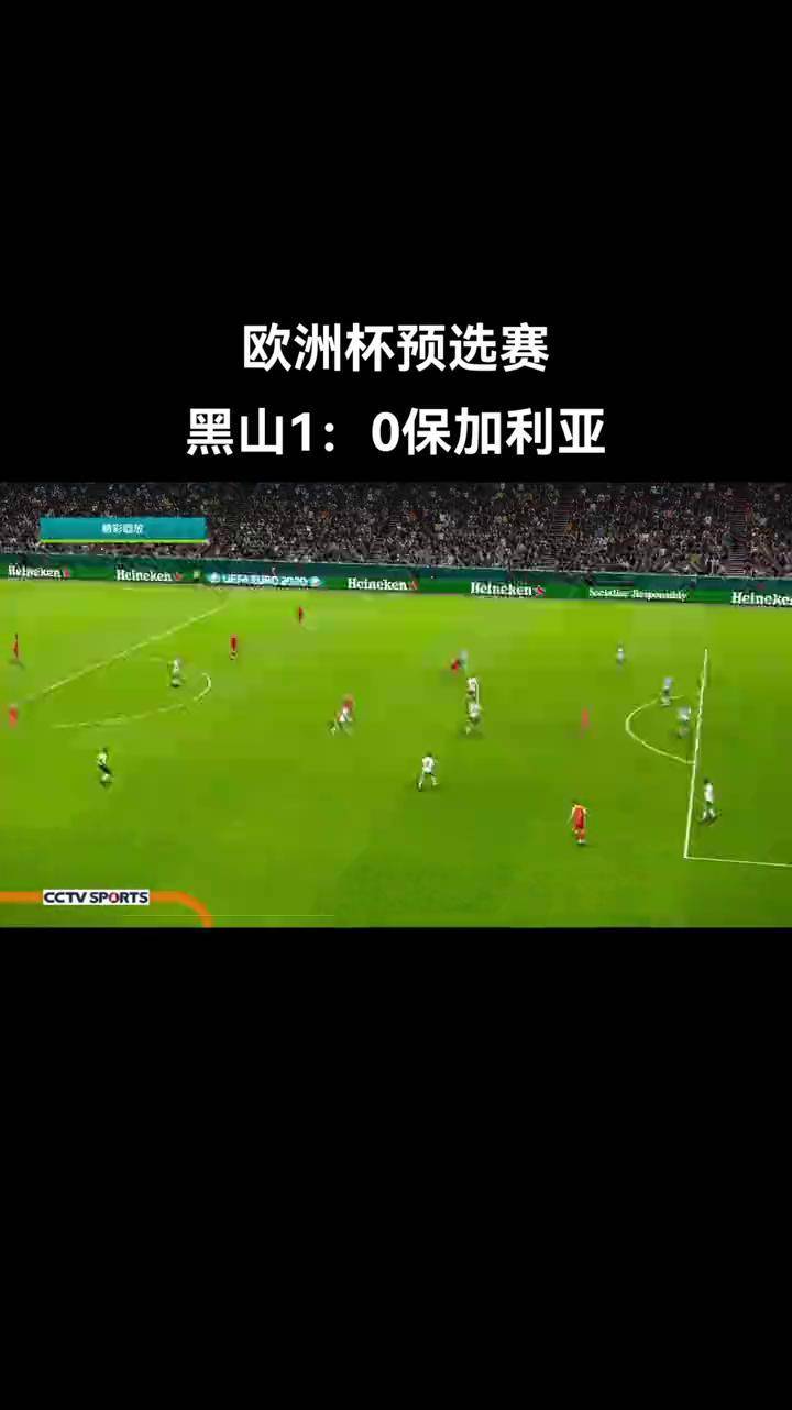 保加利亚主场平局，欧洲杯参赛资格成疑的简单介绍