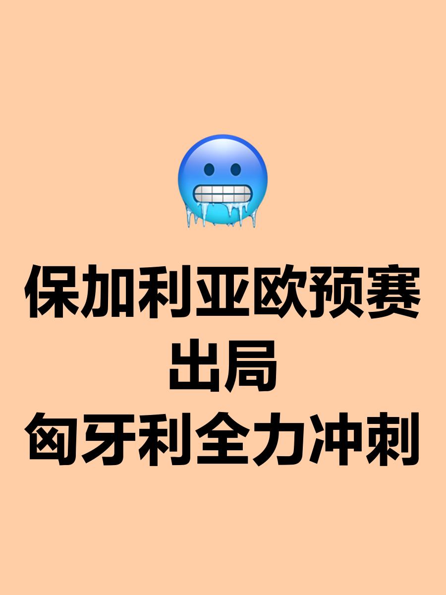 匈牙利队取得重要胜利，走向欧锦赛之路的简单介绍