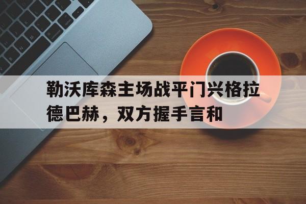 关于勒沃库森主场战平门兴格拉德巴赫，双方握手言和的信息