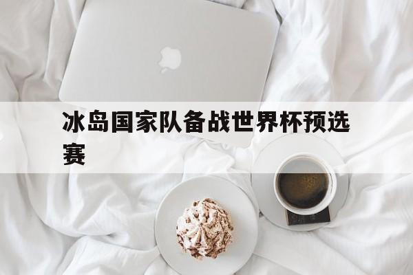 冰岛国家队备战世界杯预选赛